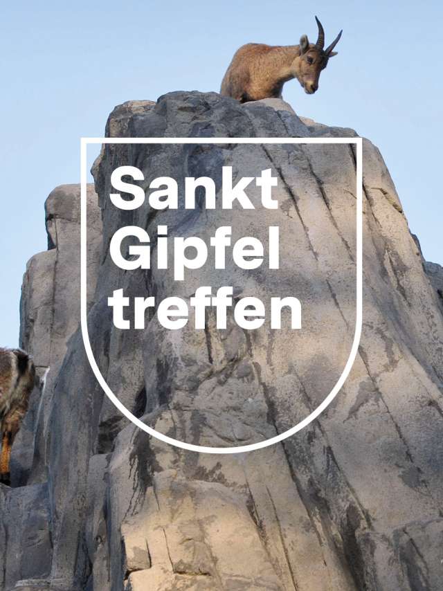 Exclusive look behind the scenes of the St.Gallen Symposium (fully booked)