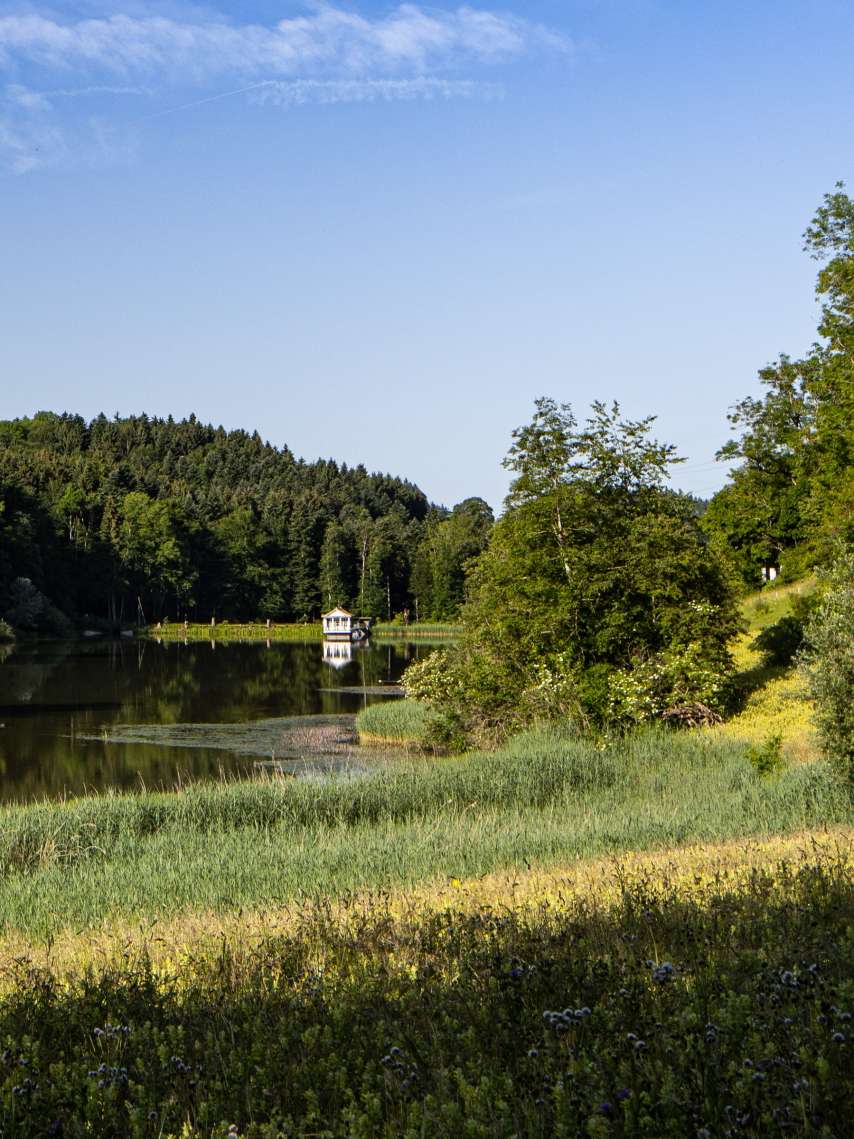 Nature on your doorstep