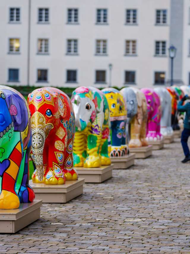 Elephant parade on the St.Gallen monastery square Elephant parade on the St.Gallen monastery square