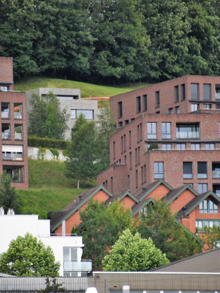 Neighborhood Portraits