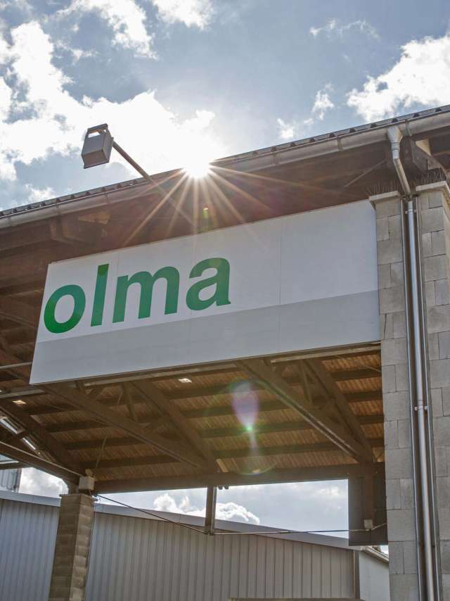 Open Call: Dancers wanted for OLMA parade!