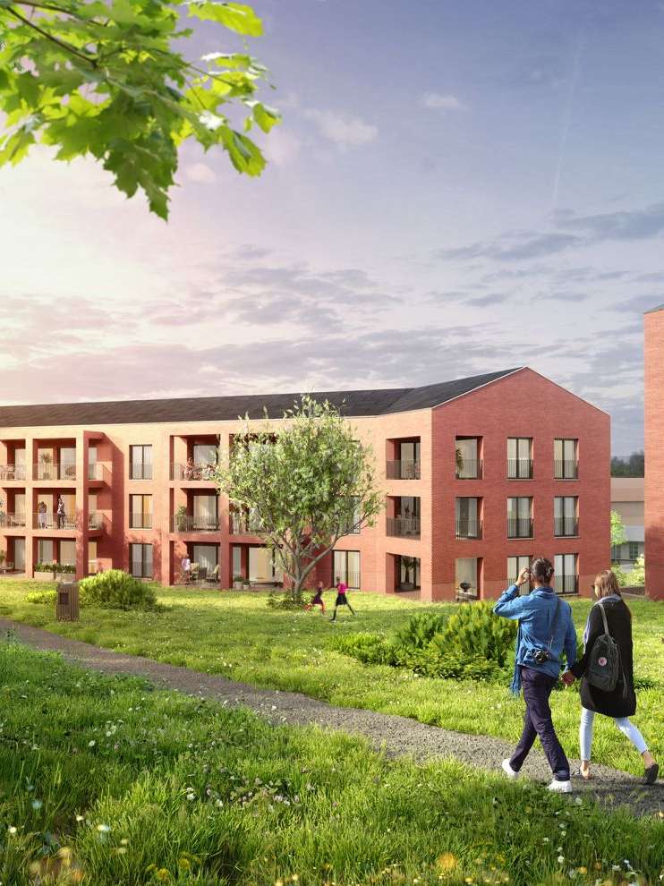 New living culture in old age