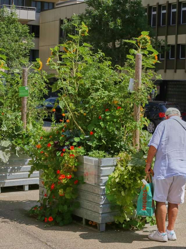 With instead of against nature - sustainability in St.Gallen