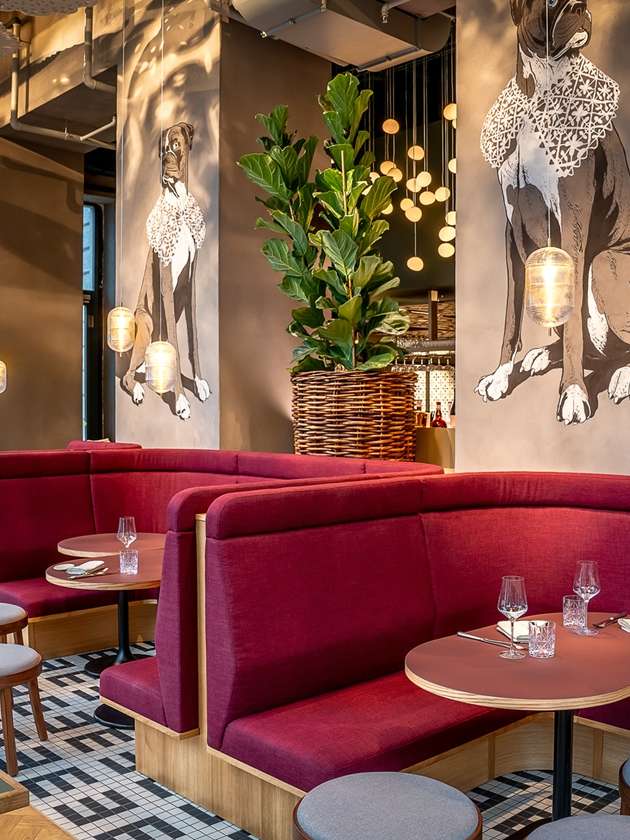 Discover the Multertor restaurant