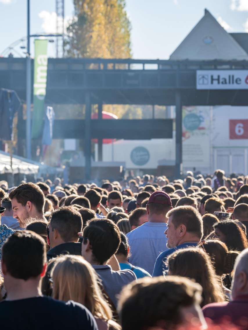 Different OLMA types