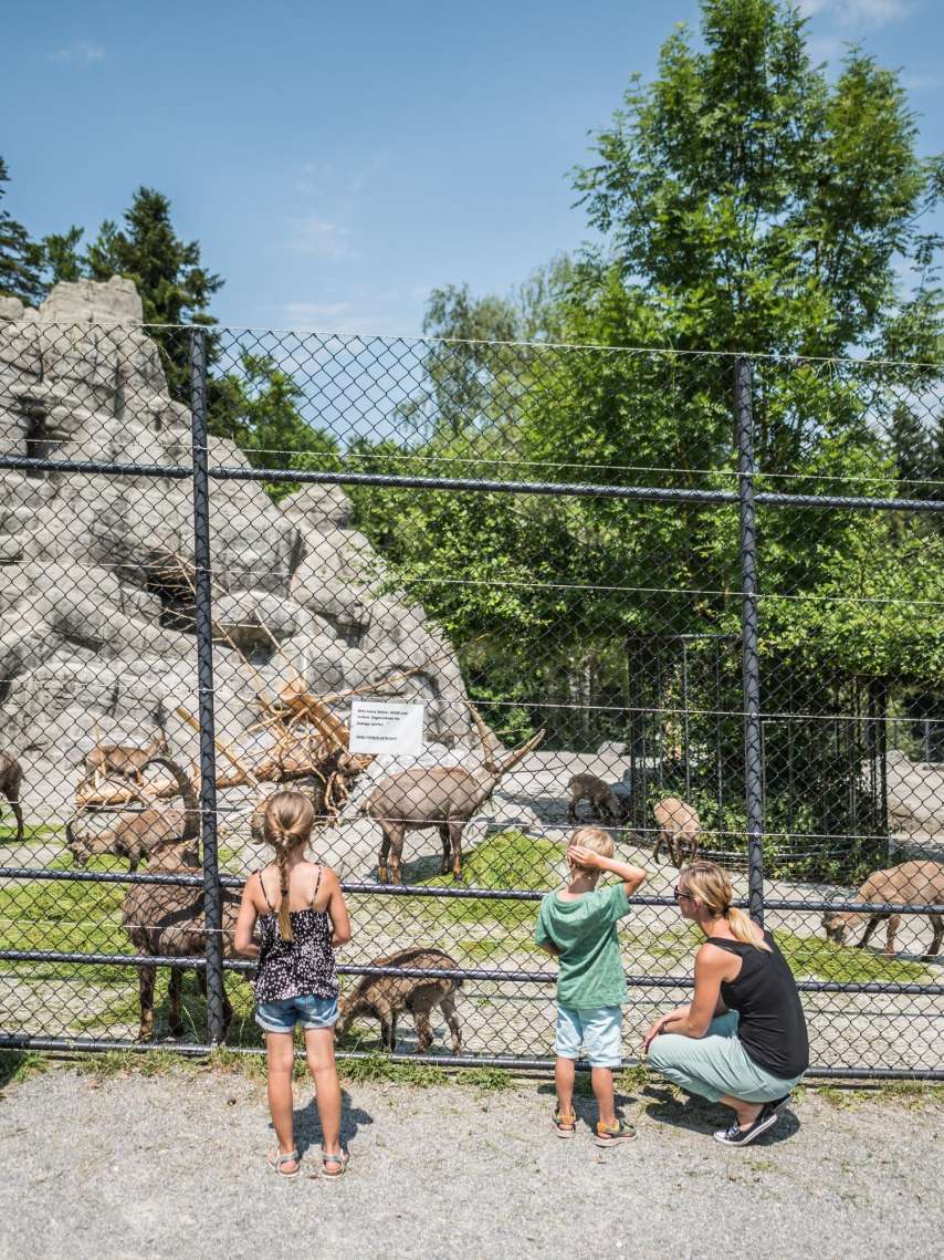 Game Park Peter and Paul