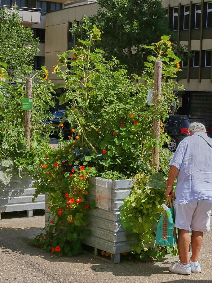 Sustainable St.Gallen